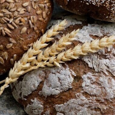 Gluten: The Truth Behind the Talked-About Protein