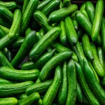 Greek-cucumber-export-to-Germany-GreekFoodNews_07920cd7-010b-494d-9ba9-fd4d369a9149