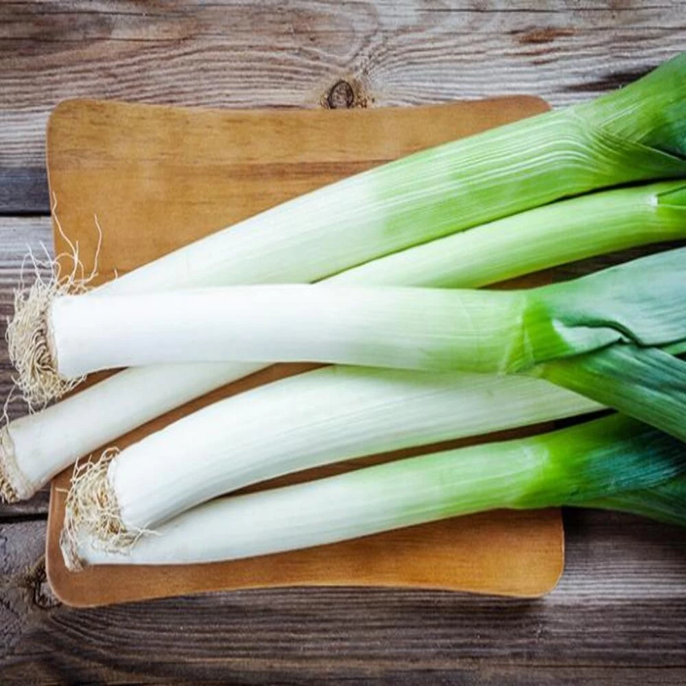 Leeks_11_bd934e6a-c204-4efa-9a23-98b4503b10d3