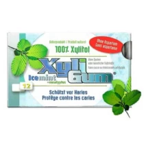 Xyli Gum Icemint