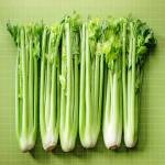 is-celery-good-for-you-heres-what-an-rd-says-1187b6f3415b4c03b37900ccc4378c13