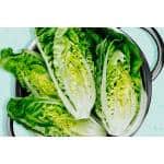 is-romaine-lettuce-healthy-66af2708e4a44de59d61ebcccb24fdbe