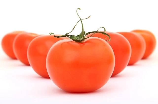 tomatoes