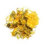 Calendula-Arvensis-Wild-remedy-herbs-Καλεντούλα