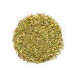 Foeniculum-vulgaris-Wild-remedy-herbs-Marathospores1