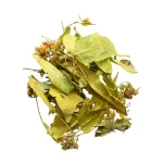 Tilia-Platyphyllos-Wild-remedy-herbs-Tilium