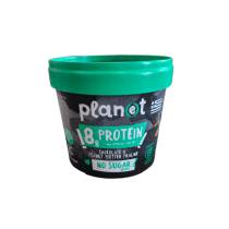PLANET ICE CREAM PROTEIN CHOKOLATE PEANUT BUTTER  NO SUGAR 170ML